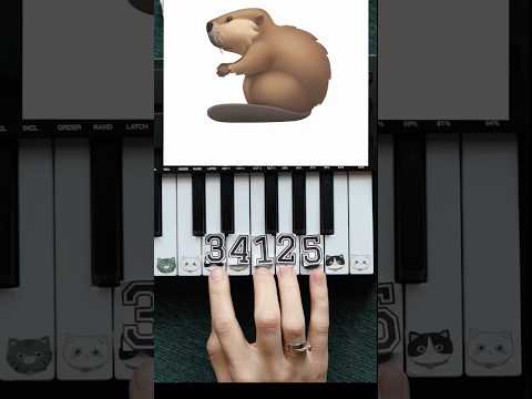 🎹СИДИМ С БОБРОМ ЗА СТОЛОМ| ТУТОРИАЛ #piano #pianototurial #бобёр