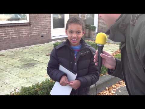 Het wapen van Ilpendam