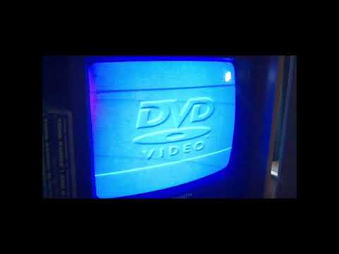 “SUICIDE BOYZ”. HOLLAND IZZ x KSPLASH