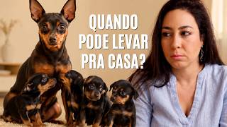 QUANDO VOCÊ PODE SEPARAR O FILHOTE DA MÃE E DOS IRMÃOS
