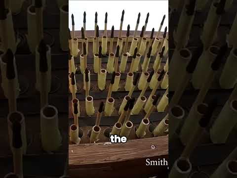 How Did the Hwach’a Fire 200 Arrows at Once?