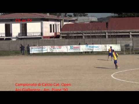 C11OpenM_ApiGiallonere-AmPiane90