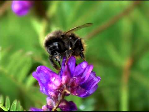 Olivia Ong - You and Me (Piano Improvisation by Gaius)