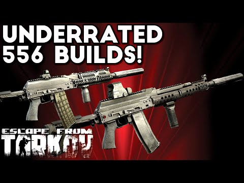 Tarkov's Most Underrated 5.56 Builds? AK-101 & AK-102 | Escape From Tarkov