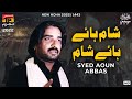 Sham Hay Hay Sham Syed Aoun Abbas Nohay Moharram 2022 TP Muharram