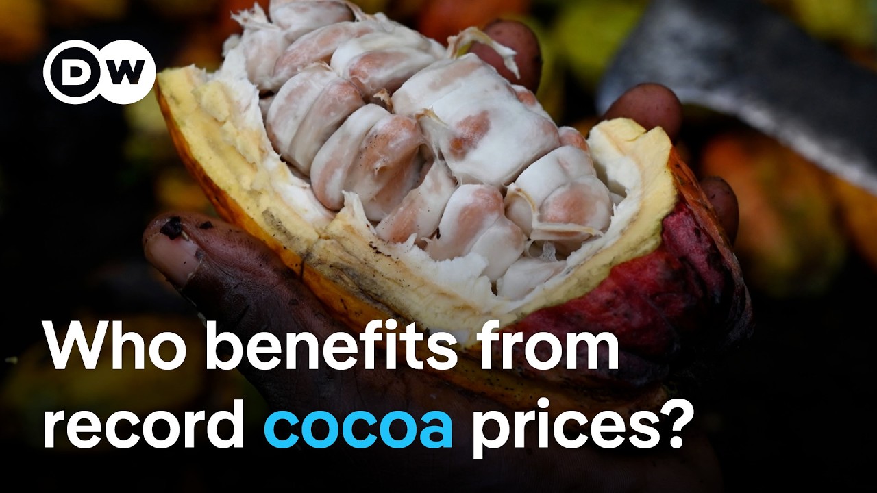 Why cocoa farmers don't profit from record prices for chocolate | DW News