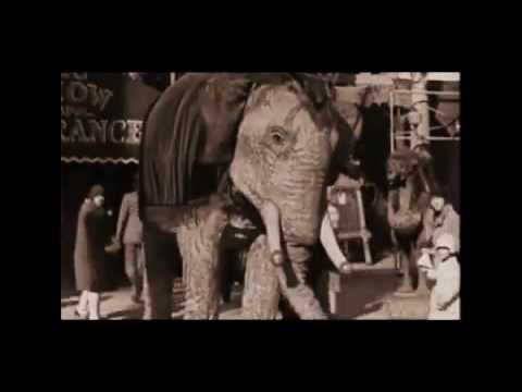 Felix & Fregonese - Circoblanco (Official Video Edit) - Club house music mix