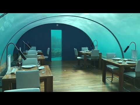 Restaurante pacífico no fundo do mar - 1 hora de música para relaxamento, alívio do estresse, sono profundo, meditação