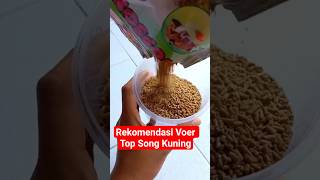 Download lagu Recommended Top Song Yellow Feed (Product link in the description) mp3