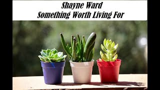 Shayne Ward - Something Worth Living For ( Video Lyrics)