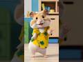 Cute Hamster Dance With Macarena Song Macarena Macarenadance Hamsters Funnyfunnytv Shorts Fun
