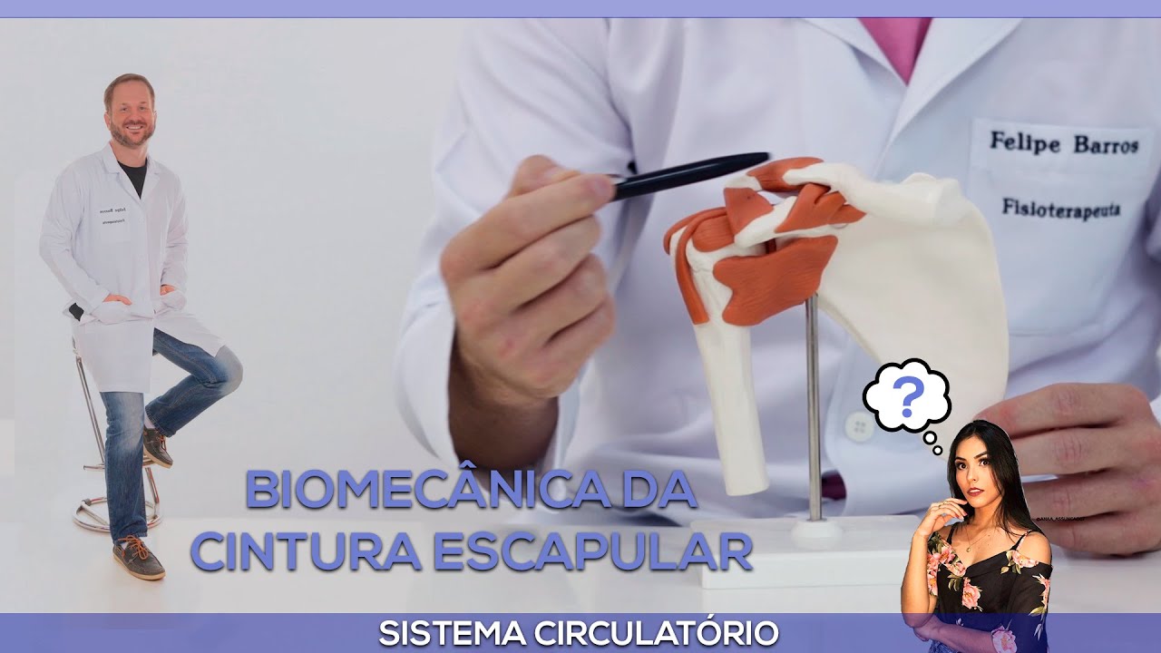 Ombro e Cintura escapular - Anatomia e biomecânica