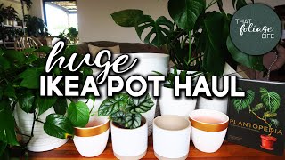 IKEA Plant Pot HAUL (and my experience)