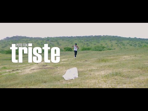 Puto Fox - Triste
