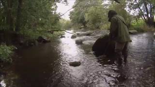 Udsætning af hvidfinnede ferskvandsulke