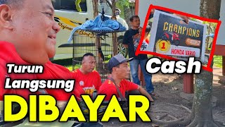 Download lagu Fight for a bargain ‼️ Finally a deal, Murai Batu from Malang city sold for a high price.. mp3 Download lagu Fight for a bargain ‼️ Finally a deal, Murai Batu from Malang city sold for a high price.. mp3