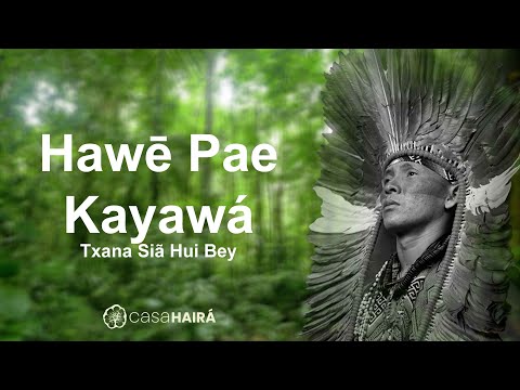 Hawē Pae Kayawá - Txana Siã Hui Bey - Grupo Kayawei - Huni Kuin - Casa Hairá - Ayahuasca