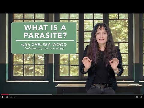 What is a parasite?