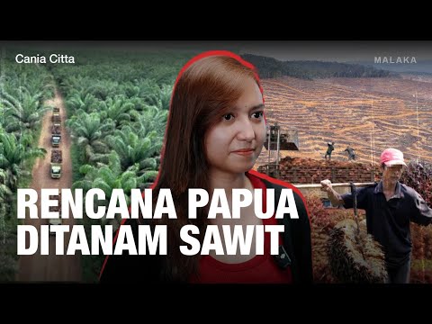 Hulu ke Hilir Masalah Sawit