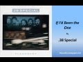 If I'd Been the One by 38 Special