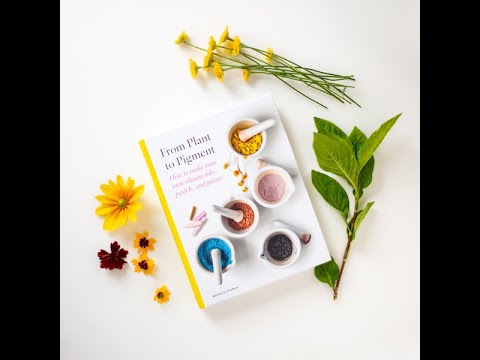 Natalie Stopka Online Book Launch!