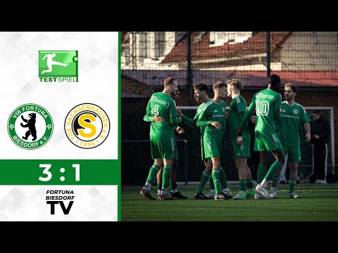 Testspiel // 1.Herren vs. TuS Sachsenhausen // 2024-2025