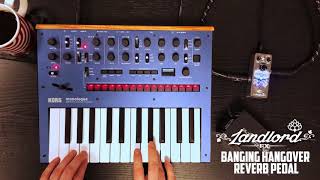 Video thumbnail for LANDLORD FX "Banging Hangover" Reverb with a Korg Monologue by GUITARGUITAR