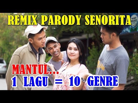 download lagu mp3 mp4 Senorita Shawn Mendes Genre, download lagu Senorita Shawn Mendes Genre gratis, unduh video klip Senorita Shawn Mendes Genre