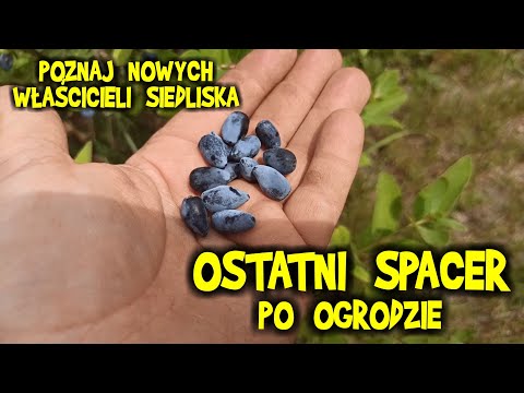 OSTATNI spacer po ogrodzie na starym siedlisku - poznaj NOWYCH WŁAŚCICIELI
