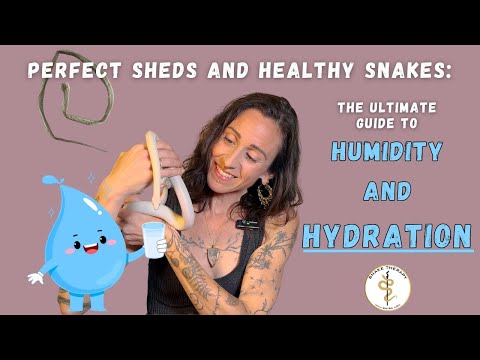 Beyond The Perfect Snake Shed: A Guide to Humidity and Hydration