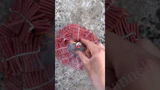 1000 crackers #shorts #firework #cracker #trick #diy