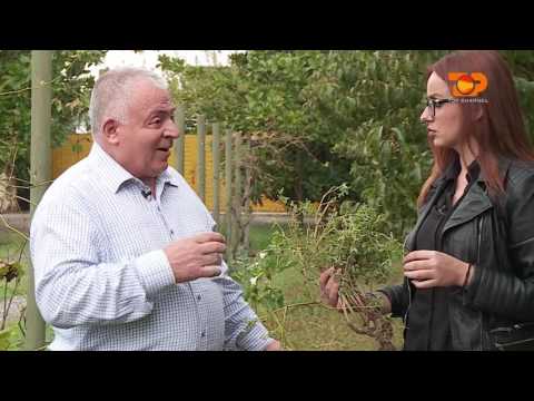 Ne Shtepine Tone, 8 Nentor 2016, Pjesa 2 - Top Channel Albania - Entertainment Show