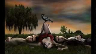 The Vampire Diaries 1x02 I&#39;m An Animal (Neko Case)