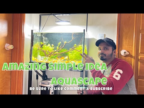 How to make an easy, beautiful and simple Aquascape tutorial