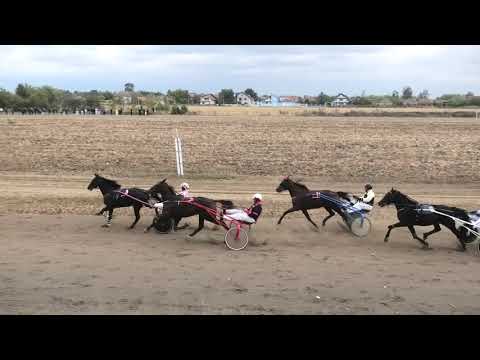 Trka "Pioneer seme" 06.10.2019 Alfa Romeo - Miodrag Pantić