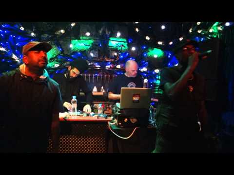 Steve Vibronics & Madu the Messenger & Parvez @ Cross Club