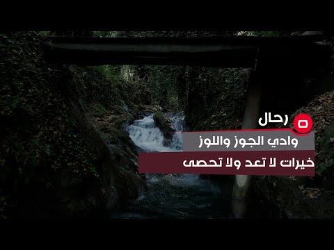 شاهد بالفيديو.. وادي الجوز واللوز .. خيرات لا تعد ولا تحصى