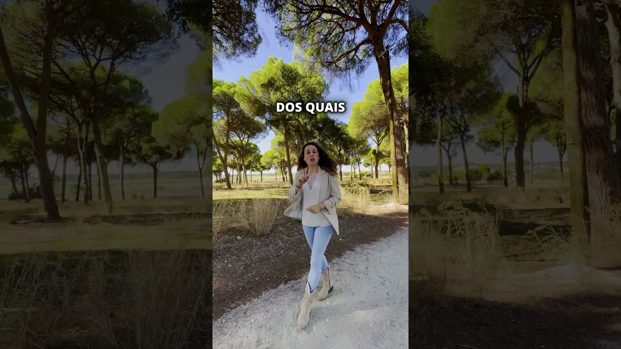 Vídeo do imóvel