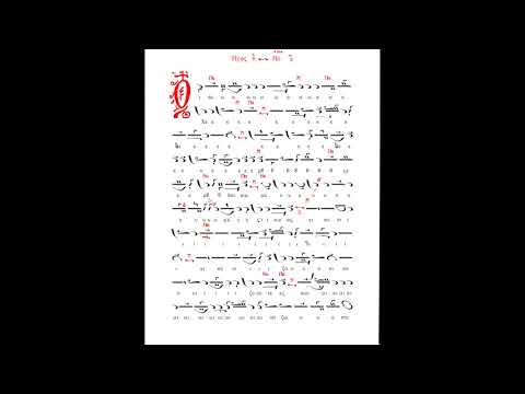 Monahul Panaretos Filotheitul - Heruvic gl. 6 (paralaghie), facere Theodor Fokaefs