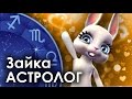 Зайка Zoobe - предсказание для близнецов . Вот это я понимаю! 