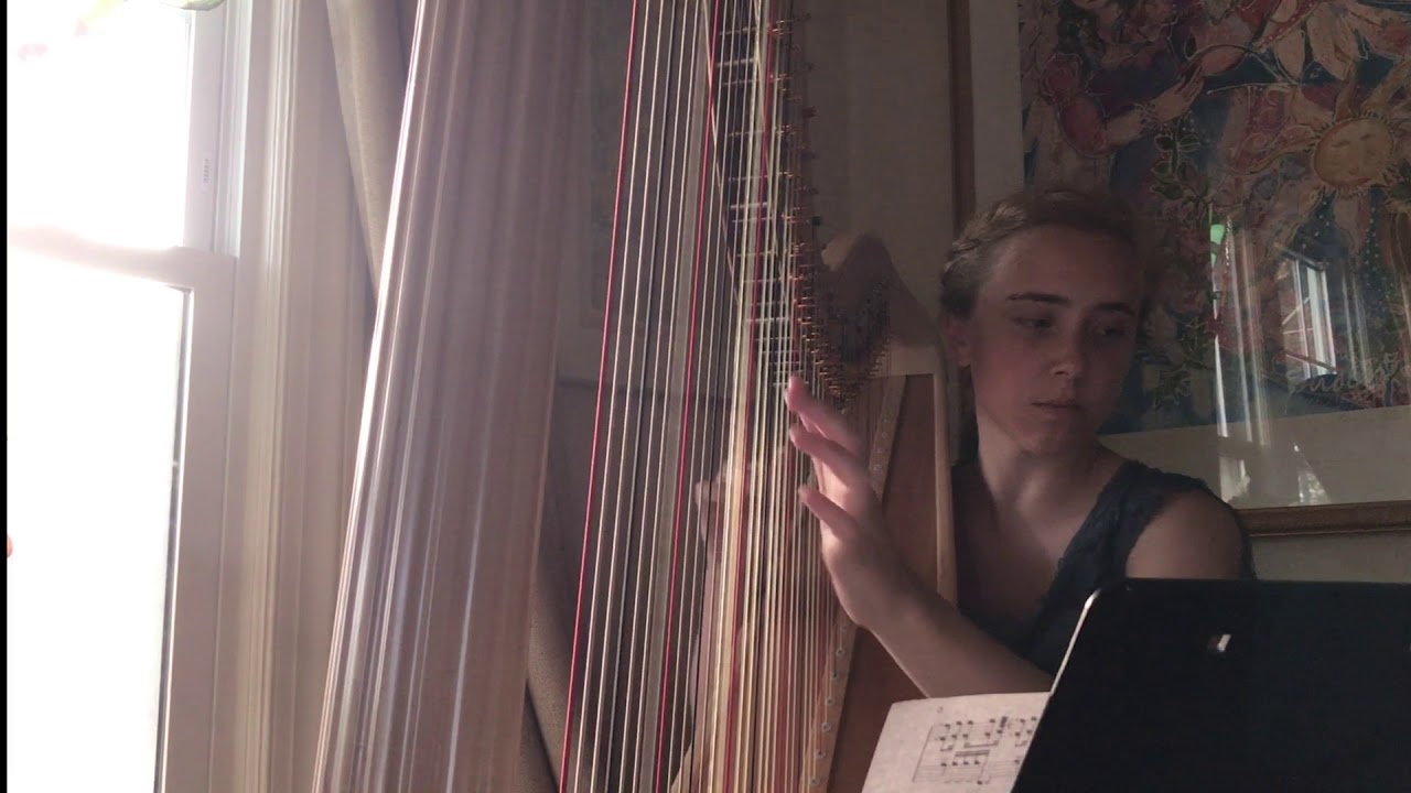 Promotional video thumbnail 2 for Martha Mapes, Harpist