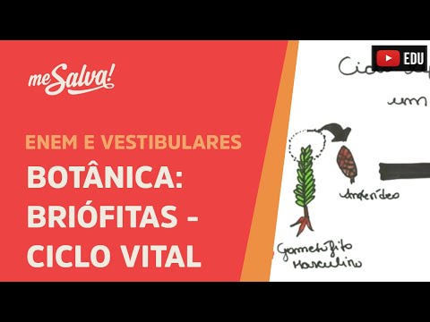 Me Salva! BOT04 - Botânica - Briofitas: ciclo vital