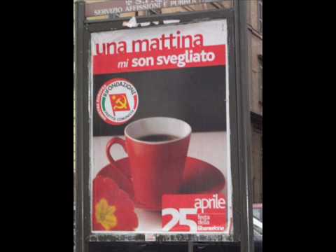 RobinMcilrath’s Video 4848075642 mtpw3U6HPuI