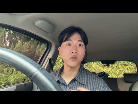 비디오 19