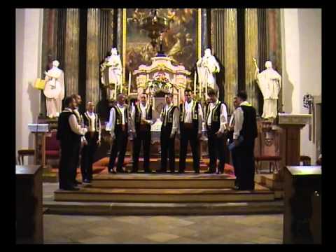 klapa dubrava - zemlja (koncert u Osijeku)