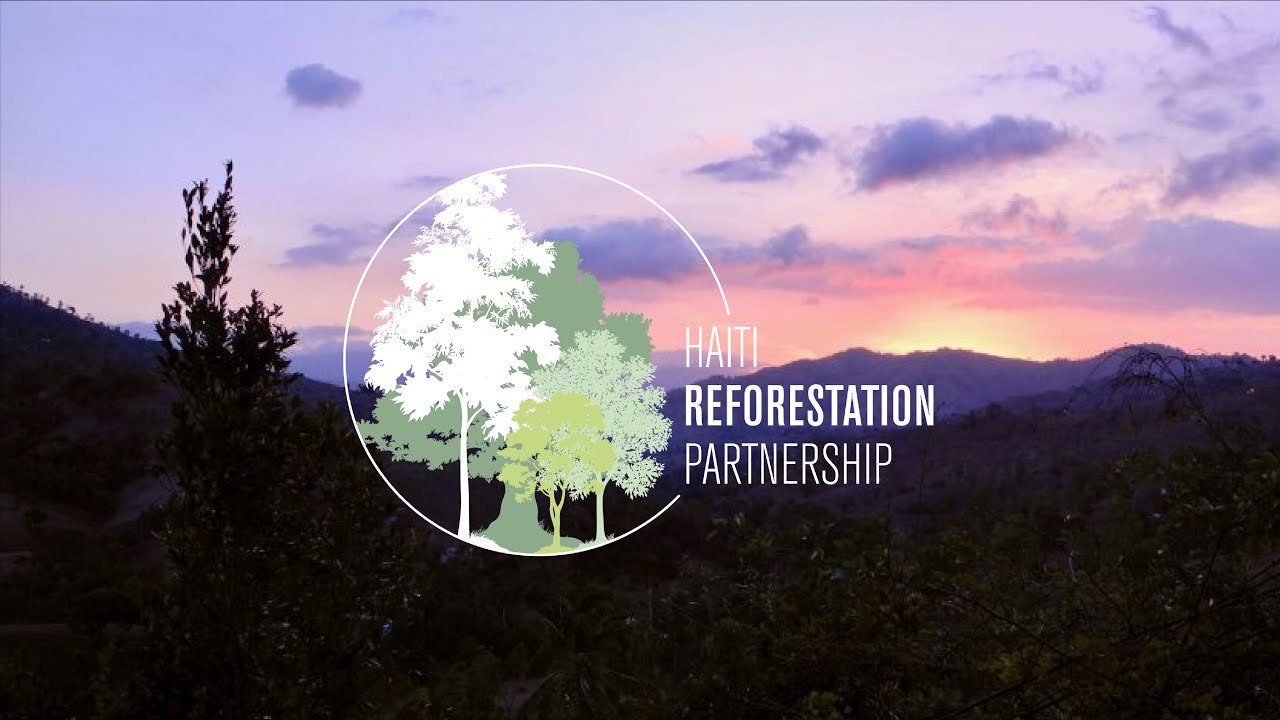 30 Years of Reforestation Success