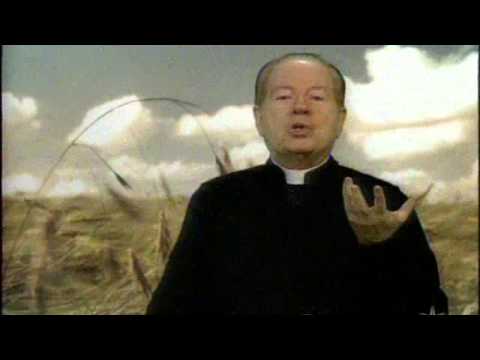 O Pão Nosso 22 Julho 2014 - Pe.F.C.Cardoso