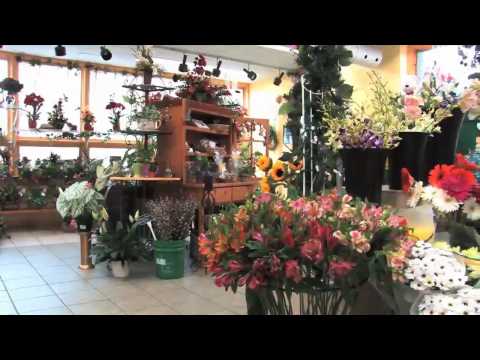 download lagu mp3 mp4 Best Florist In Burlington Ontario, download lagu Best Florist In Burlington Ontario gratis, unduh video klip Best Florist In Burlington Ontario