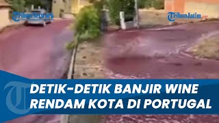 PENAMPAKAN 2,2 Juta Liter Wine Mengalir Rendam Portugal, Banjir Bandang Diduga Ledakan dari Pabrik