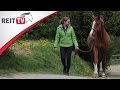 Homestory Zu Besuch Bei REITTV Teamreiterin Steffi Rauter
